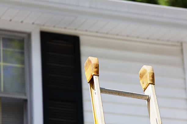 Best Historical Building Siding Restoration  in Menomonee Falls, WI